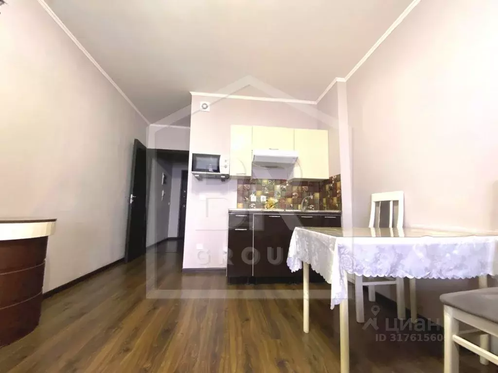 Студия Санкт-Петербург просп. Ветеранов, 171к5 (24.8 м) - Фото 0