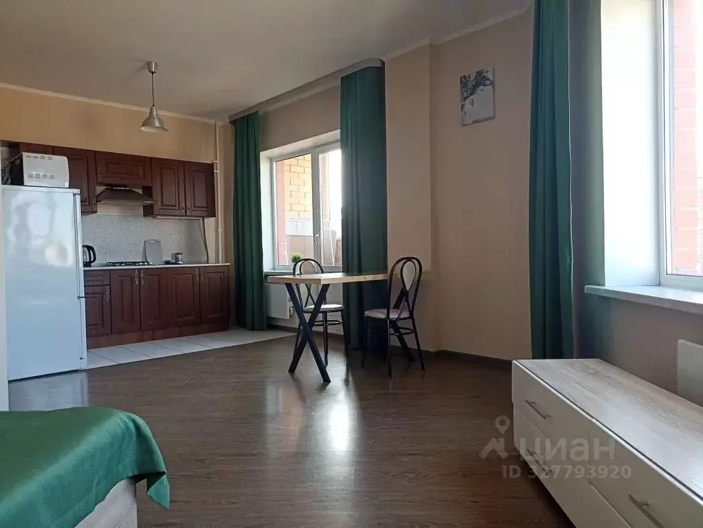 1-к кв. Псковская область, Псковский район, Завеличенская волость, д. ... - Фото 2