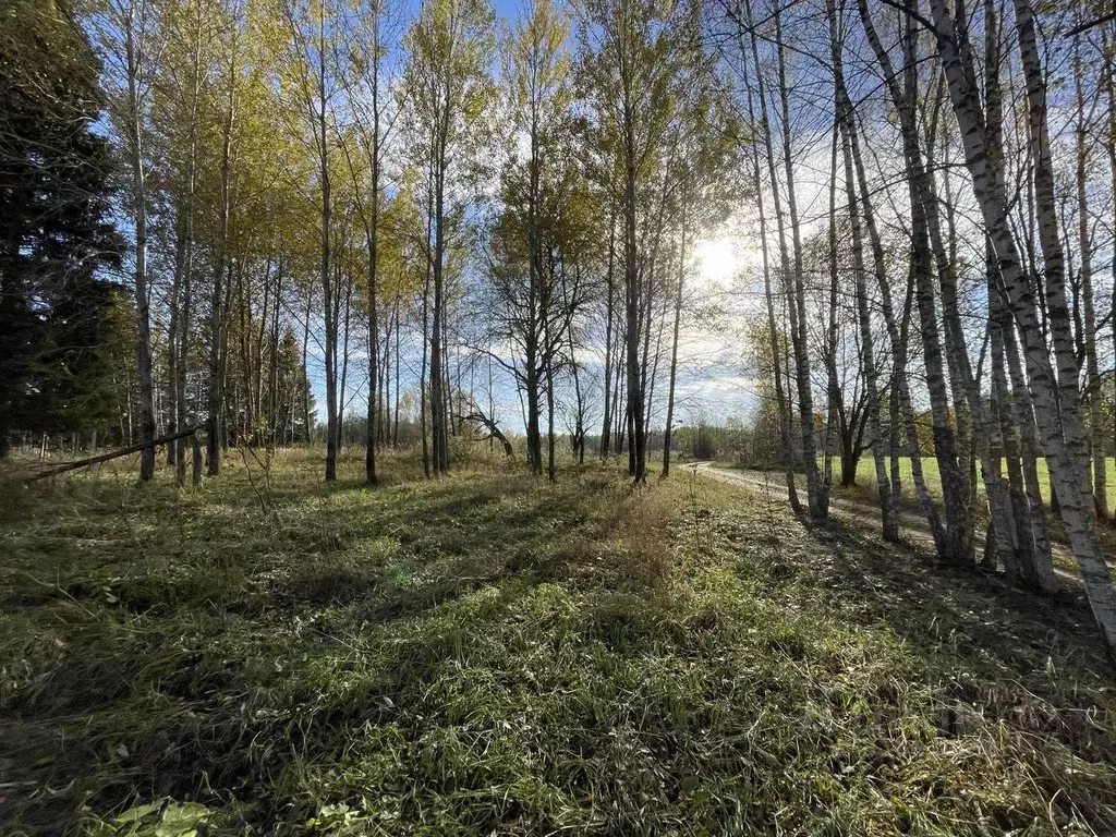 Участок в Тверская область, Конаковский муниципальный округ, д. ... - Фото 1