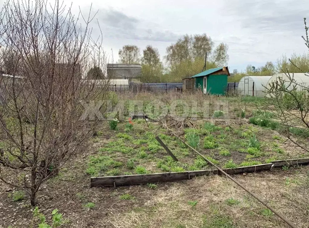 Дом в Новосибирская область, Бердск Вега-3 СНТ,  (30 м) - Фото 1