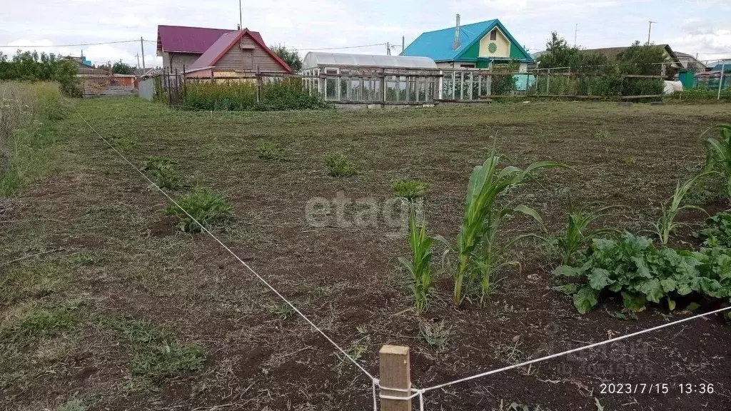 Кульшарипово альметьевский район карта