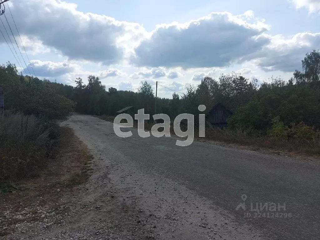 Торговая площадь в Челябинская область, Кыштымский городской округ, ... - Фото 1