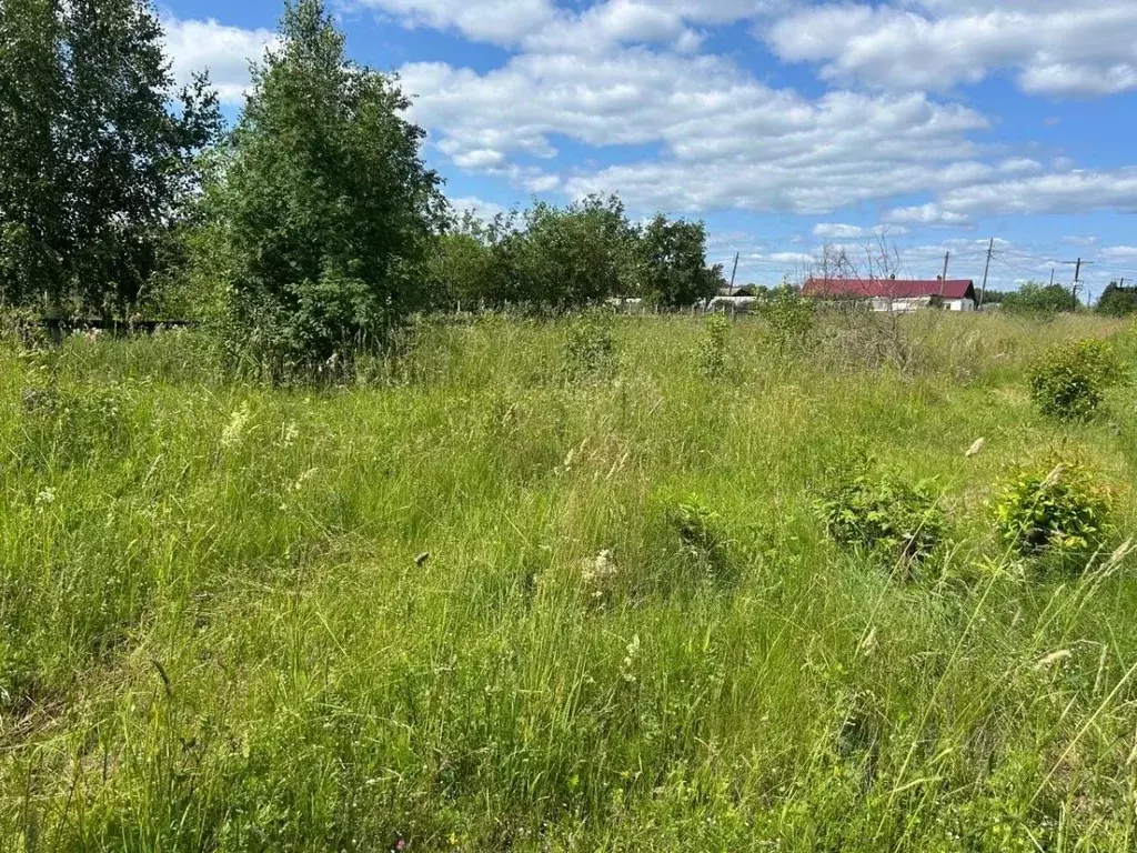 Участок в Свердловская область, Горноуральский муниципальный округ, с. ... - Фото 1