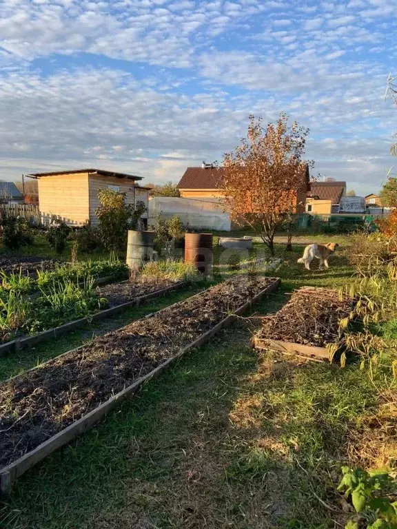 Участок в Тюменская область, Тюмень СОСН Сирень тер., ул. Ореховая ... - Фото 1