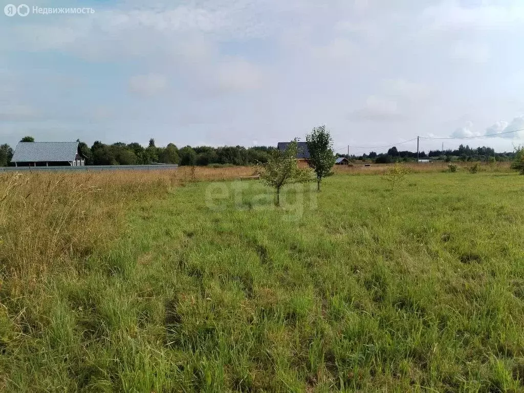 Участок в Вологодский муниципальный округ, деревня Ирхино (15 м) - Фото 1