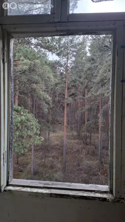 1-комнатная квартира: Екатеринбург, Волчанский переулок, 10 (33.9 м) - Фото 1