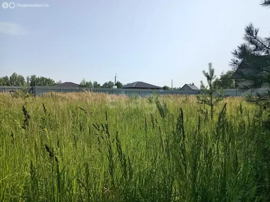 Участок в Сенгилеевский район, Тушнинское сельское поселение, село ... - Фото 1