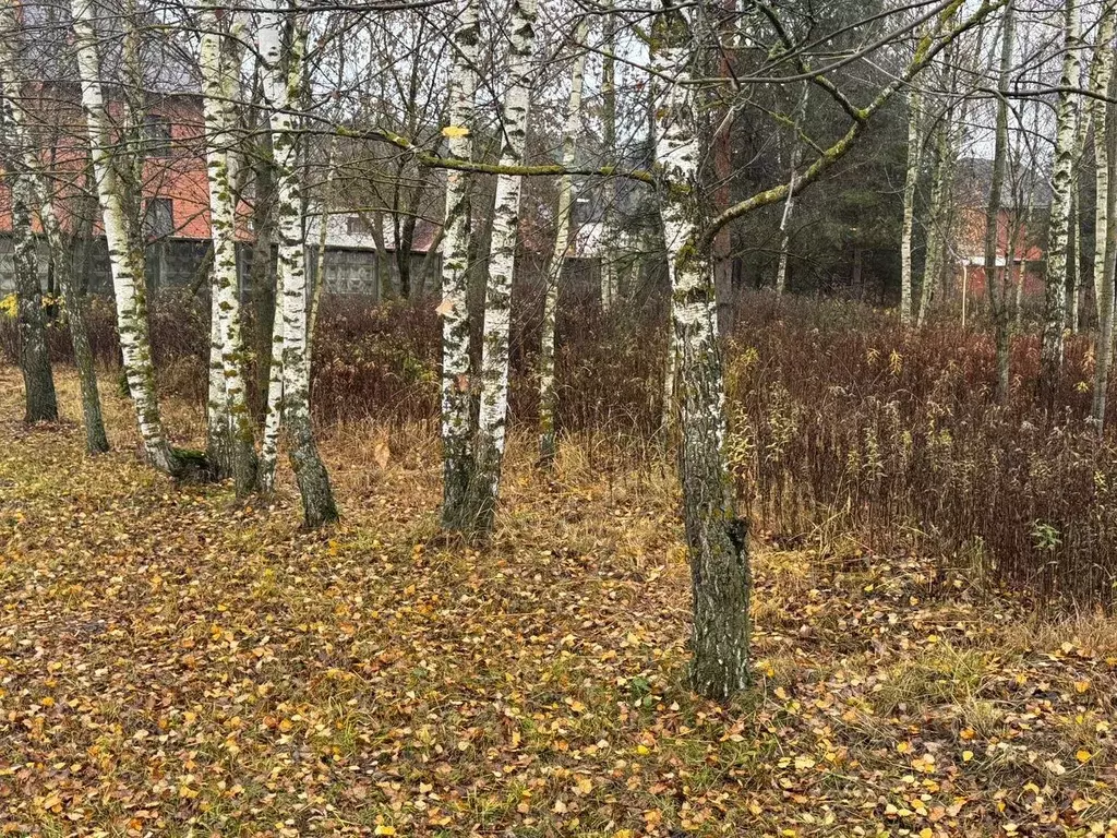 Участок в Московская область, Богородский городской округ, пос. ... - Фото 2