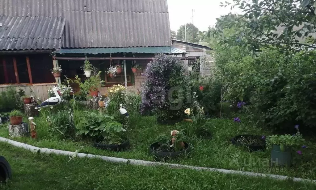Дом в Брянская область, Фокино Мичуринец-3 садоводческое товарищество, ... - Фото 2