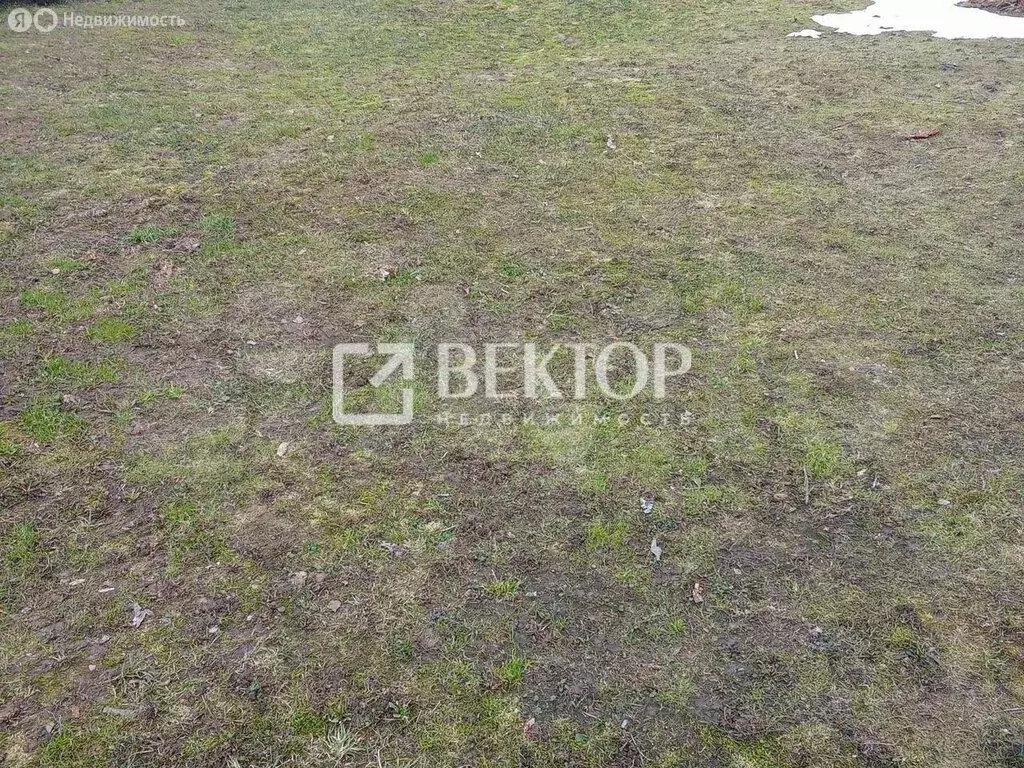Участок в Костромской район, Бакшеевское сельское поселение, деревня ... - Фото 1