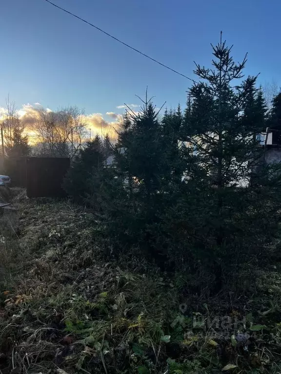 Дом в Ленинградская область, Тосненский район, Никольское городское ... - Фото 1