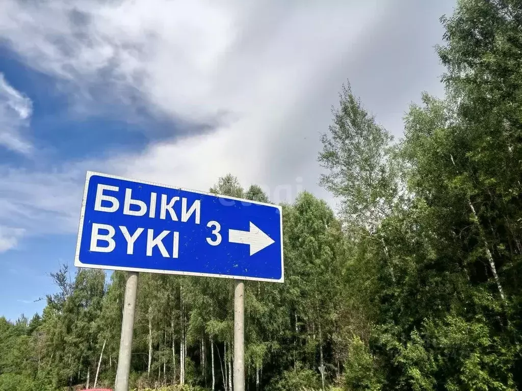 Участок в Псковская область, Пушкиногорский район, Велейская волость, ... - Фото 1