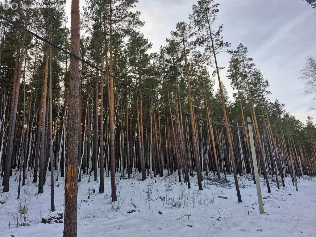 Участок в Иркутский муниципальный округ, деревня Новолисиха, ... - Фото 2