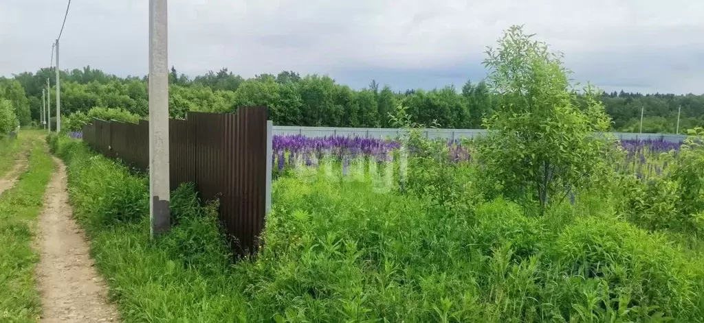 Участок в Калужская область, Калуга городской округ, д. Колюпаново  ... - Фото 0