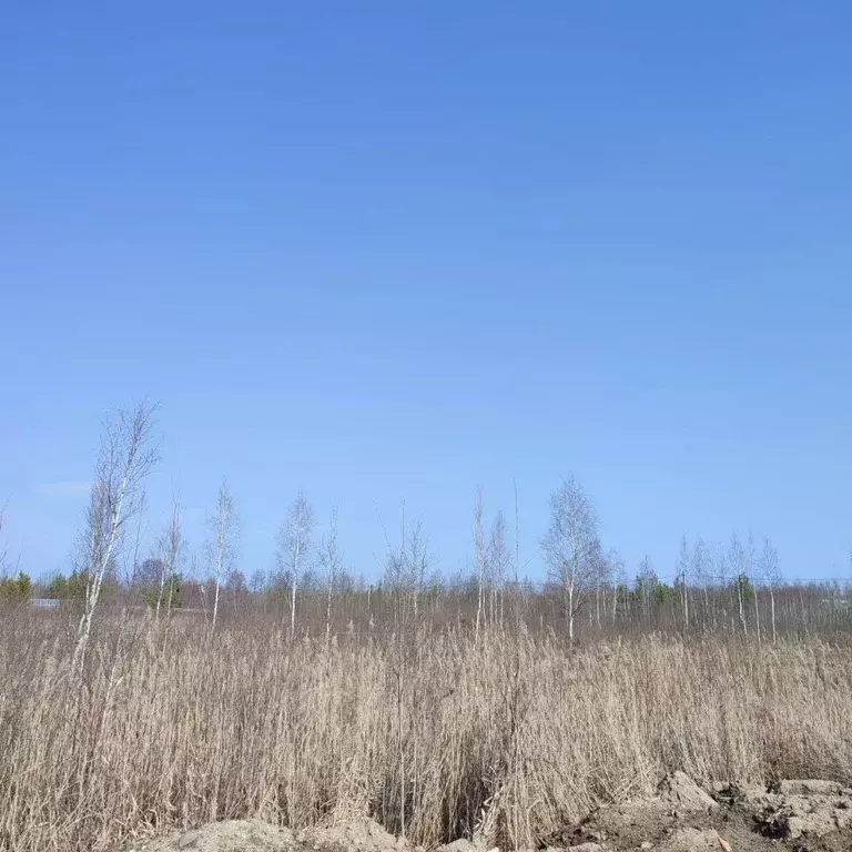 Участок в Московская область, Электрогорск Павлово-Посадский городской ... - Фото 0