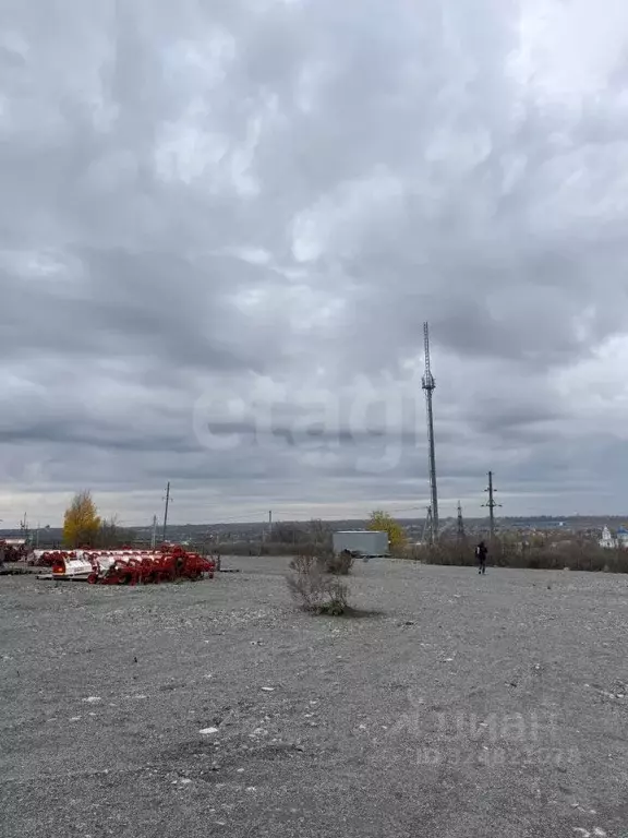 Участок в Воронежская область, Семилуки ул. Гагарина (250.0 сот.) - Фото 2