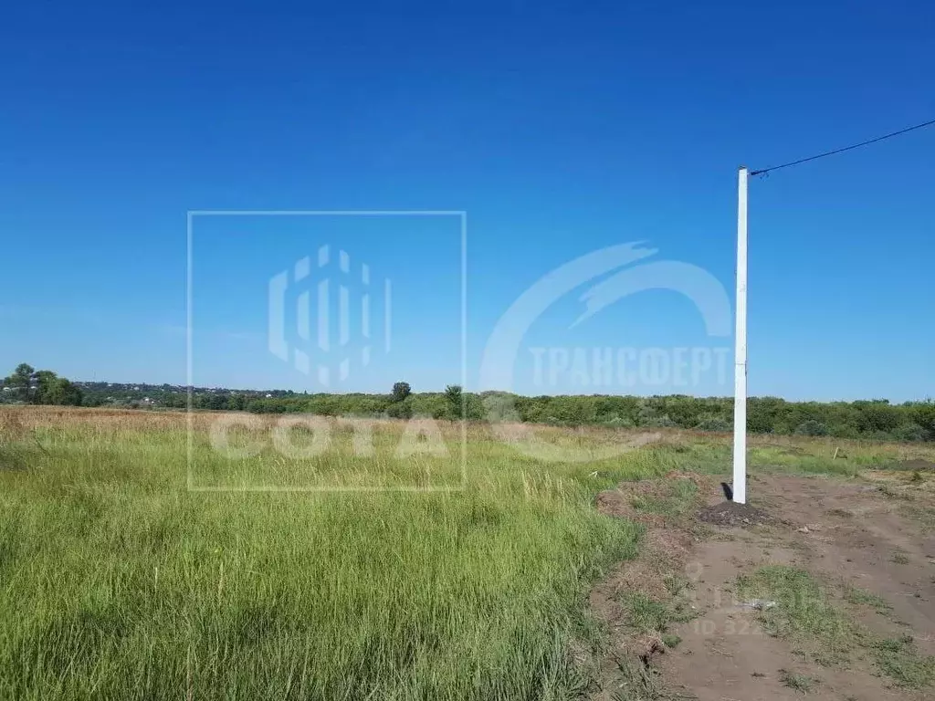 Участок в Воронежская область, Рамонский район, с. Новоживотинное ул. ... - Фото 2