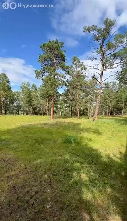Участок в Республика Саха (Якутия), городской округ Якутск, село ... - Фото 0