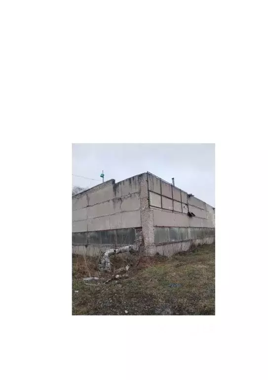 Помещение свободного назначения в Новосибирская область, Новосибирский ... - Фото 1