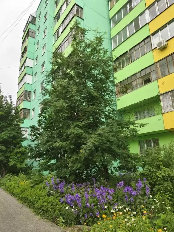 1-к кв. Новосибирская область, Новосибирск Выборная ул., 117/1 (37.5 ... - Фото 0