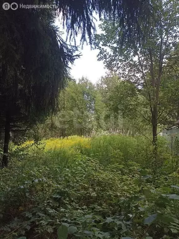 Участок в Апрелевка, садоводческое некоммерческое товарищество ... - Фото 0