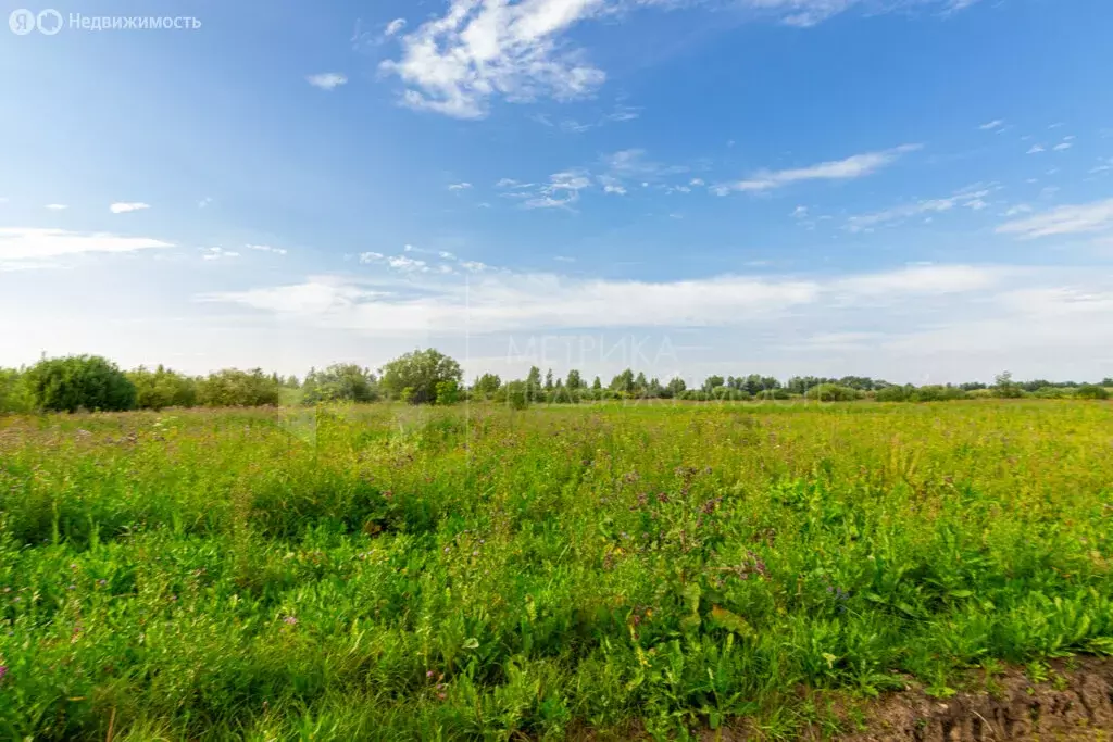 Участок в село Нижняя Тавда, улица Максима Горького (8.02 м) - Фото 1