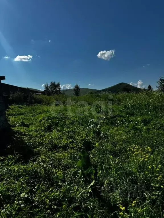 Участок в Алтай, Майминский район, с. Подгорное Набережная ул. (16.0 ... - Фото 2