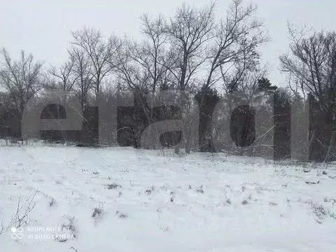Участок в Белгородская область, Белгородский район, Головинское с/пос, ... - Фото 1