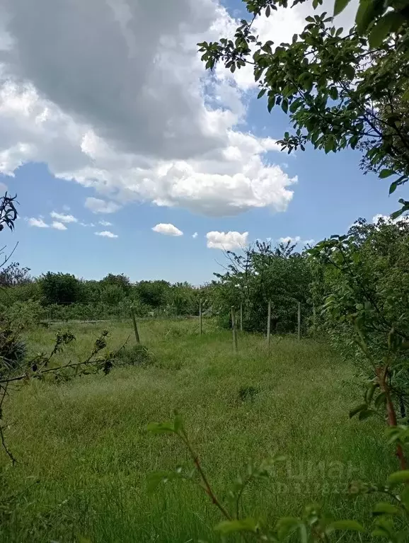 Участок в Крым, Керчь Чистенькое СПК,  (5.0 сот.) - Фото 0