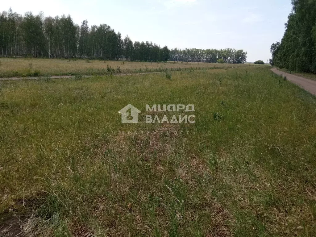 Участок в Омский район, Усть-Заостровское сельское поселение (15 м) - Фото 0