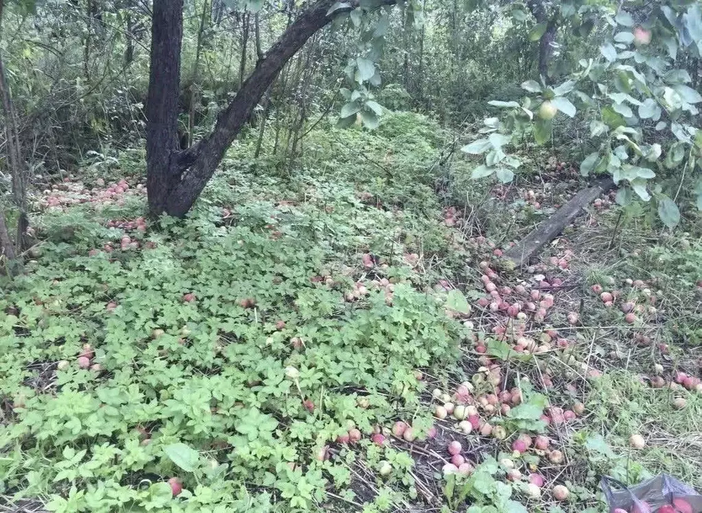 Дом в Ярославская область, Рыбинский муниципальный округ, пос. Искра ... - Фото 1