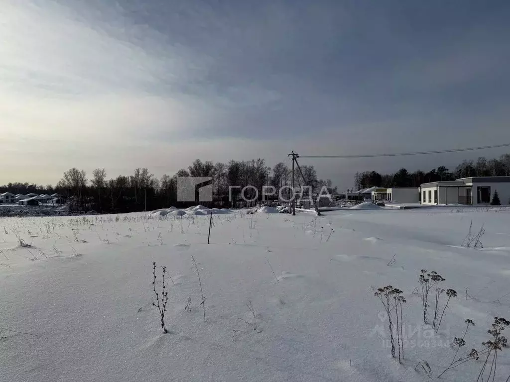 Участок в Алтайский край, Первомайский район, с. Фирсово ул. Кедровая ... - Фото 2