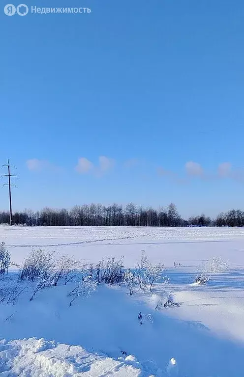 Участок в Вологодский муниципальный округ, деревня Филино (Пудегский ... - Фото 1