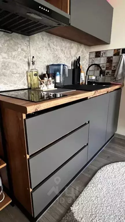 Студия Ленинградская область, Всеволожский район, Кузьмоловский пгт ... - Фото 1