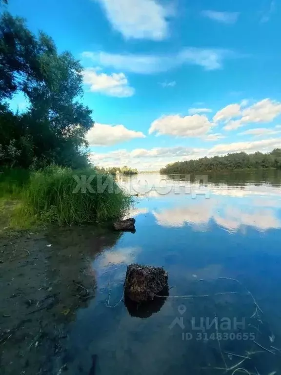 Дом в Астраханская область, Володарский район, Поселок Зеленый остров  ... - Фото 1