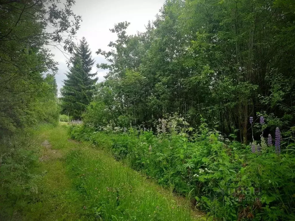 Участок в Новгородская область, Маловишерское городское поселение, д. ... - Фото 0