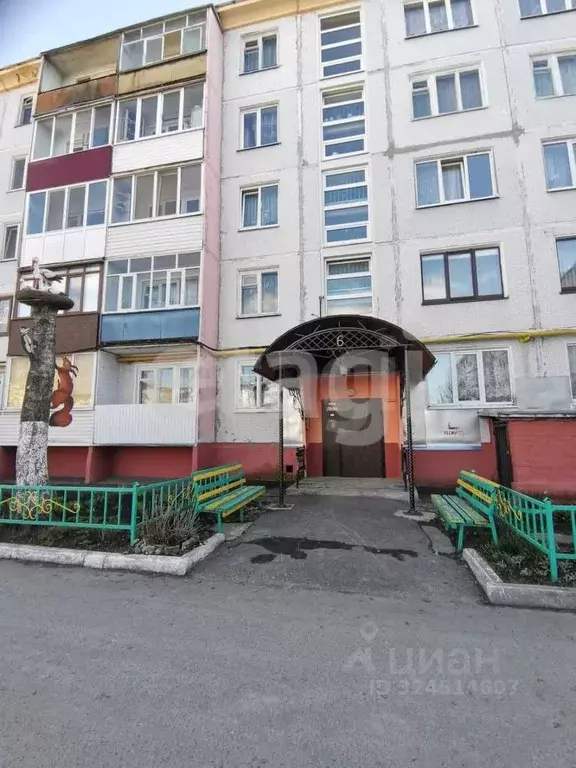 3-к кв. Брянская область, Жуковка Весенний пер., 2 (63.0 м) - Фото 2