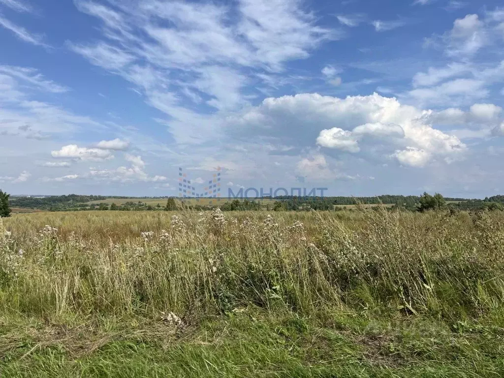 Участок в Нижегородская область, Сокольский муниципальный округ, д. ... - Фото 2