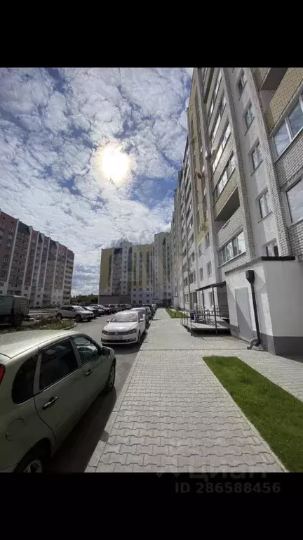 1-к кв. Саратовская область, Энгельс Вокзальная ул., 50 (41.0 м) - Фото 1