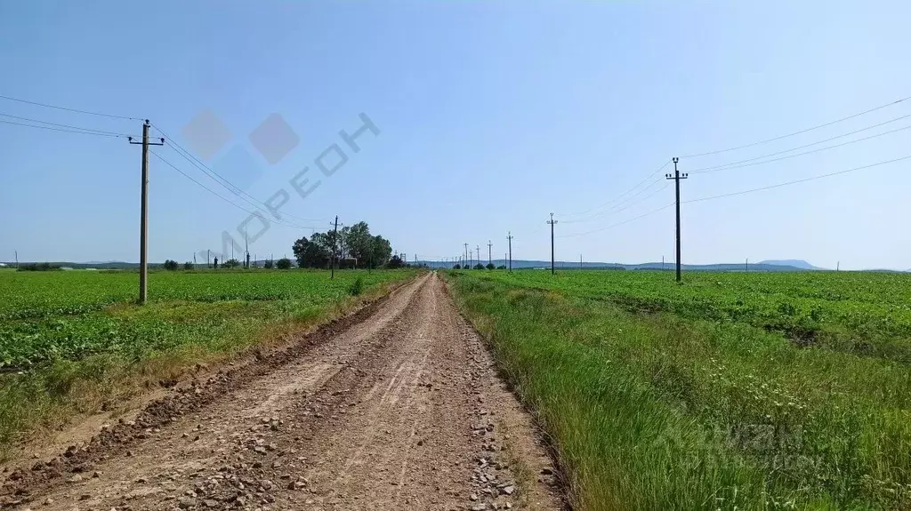 Участок в Краснодарский край, Северская ст-ца  (350.0 сот.) - Фото 0