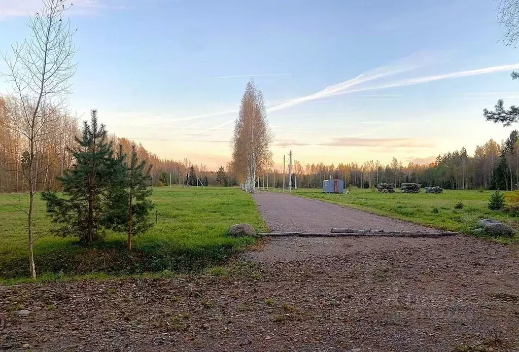 Участок в Ленинградская область, Кингисеппский район, Вистинское ... - Фото 1