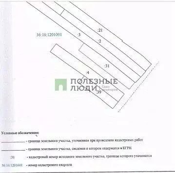 Участок в Воронежская область, Новоусманский район, Нижнекатуховское ... - Фото 1