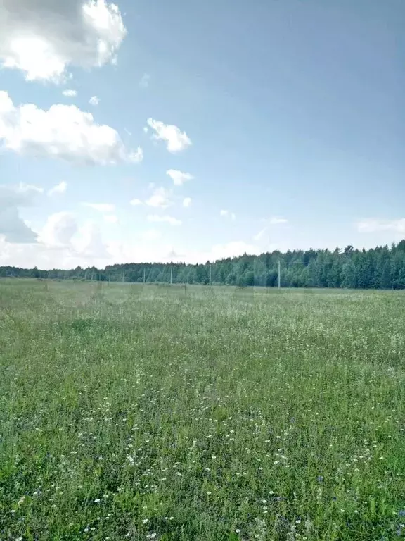 Участок стрелково. Светлая поляна стрелково-стендовый комплекс. Деревня стрелково. Деревня стрелково. Участок стрелково.