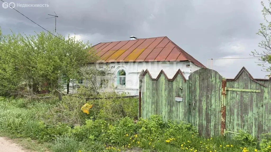 Дом в Тамбовский муниципальный округ, село Горелое (40 м) - Фото 2