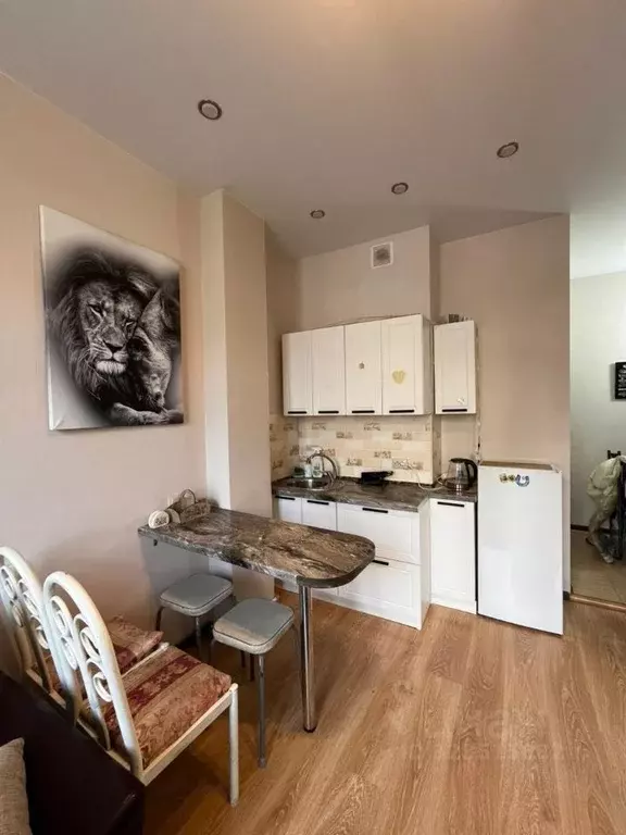 Студия Краснодарский край, Сочи Донская мкр, пер. Донской, 23 (24.0 м) - Фото 2