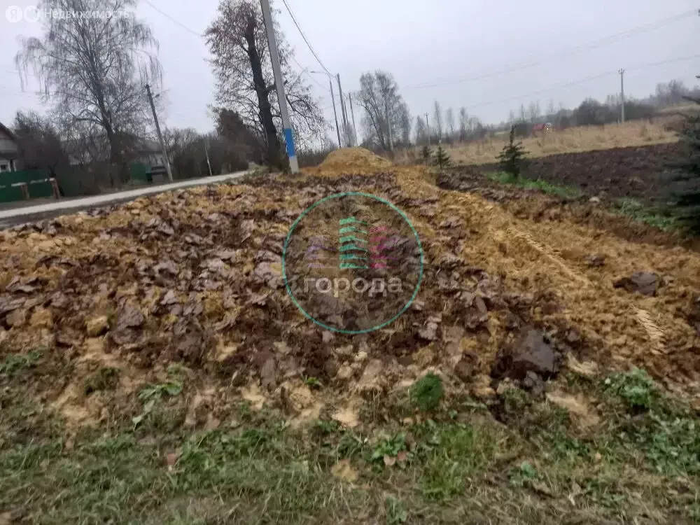 Участок в Московская область, Раменский муниципальный округ, село ... - Фото 2