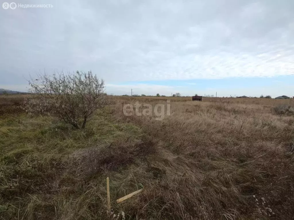 Участок в Пролетарское сельское поселение, СТ Донское (6 м) - Фото 0