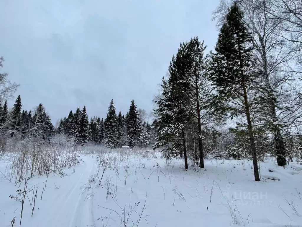 Участок в Свердловская область, Тугулым пгт ул. Грибная (20.0 сот.) - Фото 0