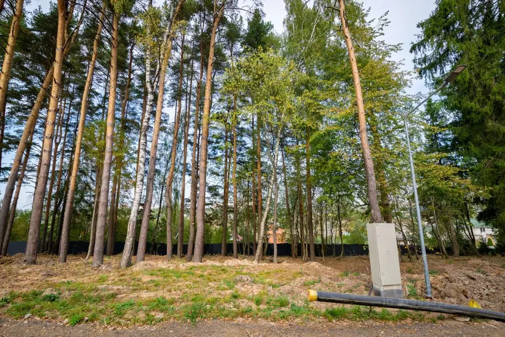 Участок в Московская область, Химки городской округ, д. Голиково 222П ... - Фото 0