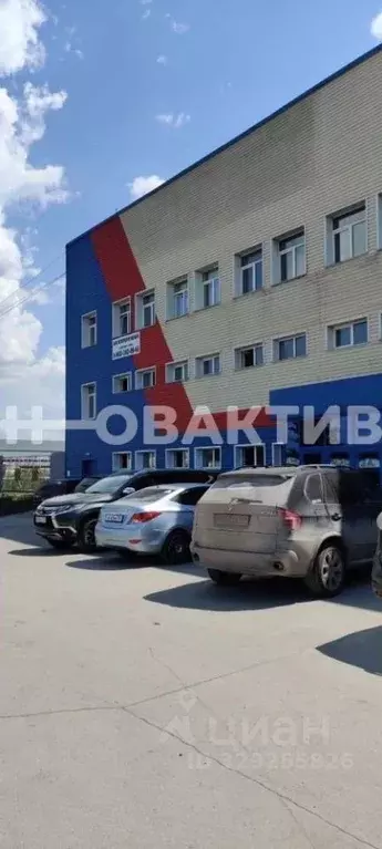 Помещение свободного назначения в Новосибирская область, Новосибирск ... - Фото 2